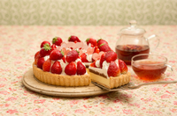 【20代・30代限定】仕事終わりに絶品フルーツタルトを食べに行こう🥧🍎🍇🍋🍐