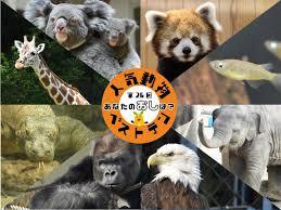 スマホOK！動物＆自然フォト散策会 in 東山動植物園