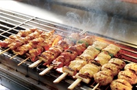 ⭐️東京駅⭐️女性主催者と話せる焼き鳥飲み会✨!女性の参加大歓迎!年齢問わず参加歓迎!