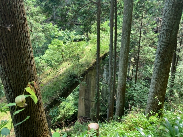 【奥多摩むかし道】自然と歴史を巡るハイキング🌿✨