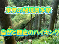 【奥多摩むかし道】自然と歴史を巡るハイキング🌿✨