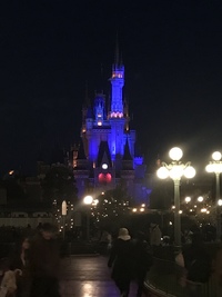 2025/5/25(日) 東京ディズニーランドに行こう！