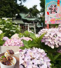 【限定あじさい御朱印！】6/15 13時　川越八幡宮であじさい祭り！【川越熊野神社も！】