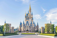 東京ディズニーランドに行こう！   29歳以下の人で！