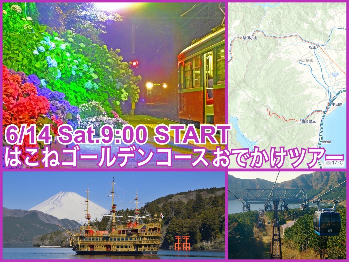みどりあふれるはこねゴールデンコースあじさいライトアップツアー