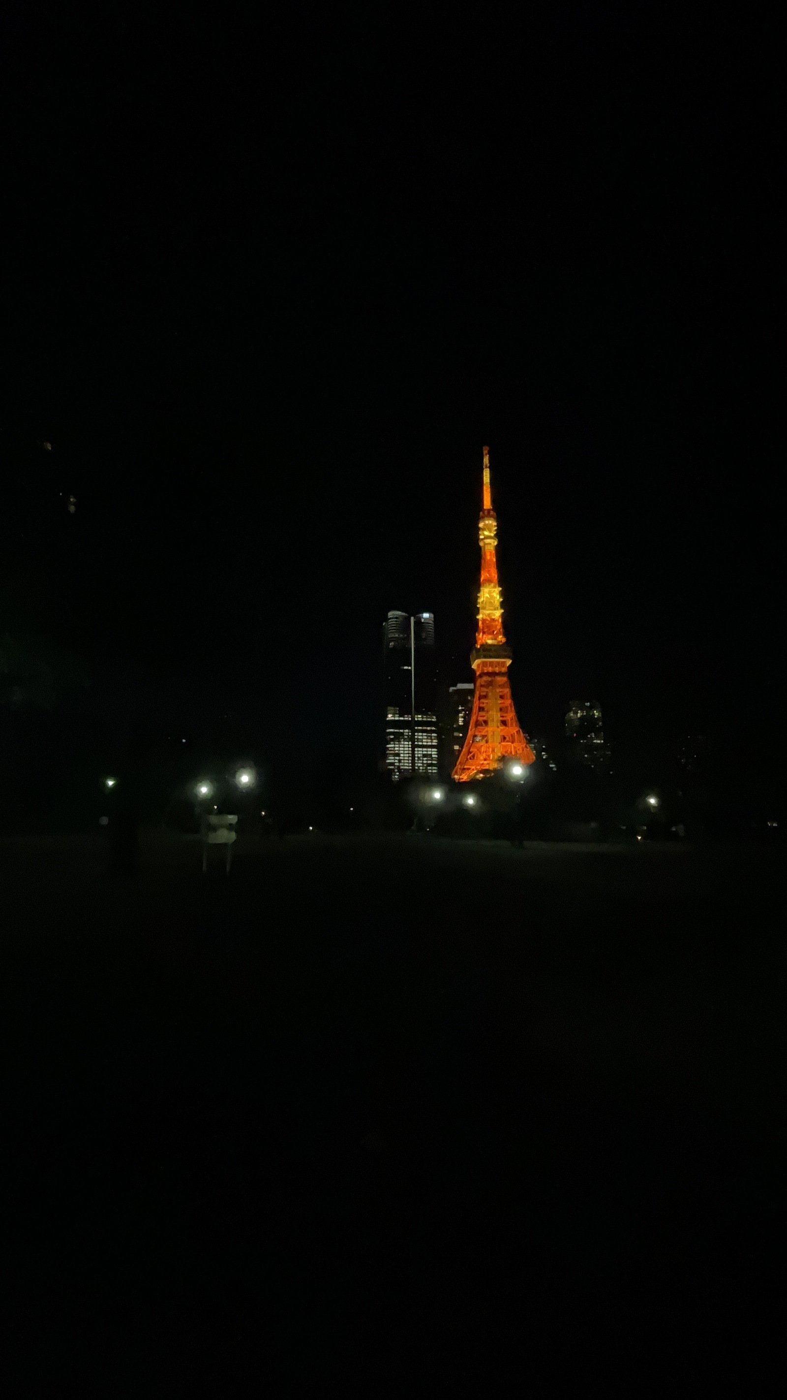 【日比谷&東京国際フォーラム】ぶら〜りフォトツアー📸 