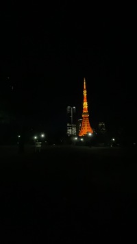【日比谷&東京国際フォーラム】ぶら〜りフォトツアー📸 