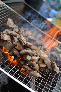 【20代·30代限定】バレーオフ会☆BBQ@豊洲