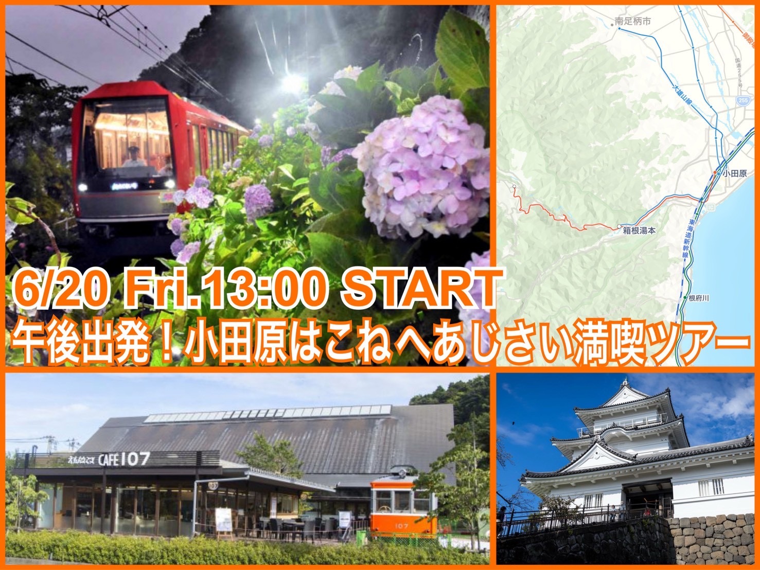 半休取って午後から参加OK★おだわらはこね紫陽花ライトアップツアー