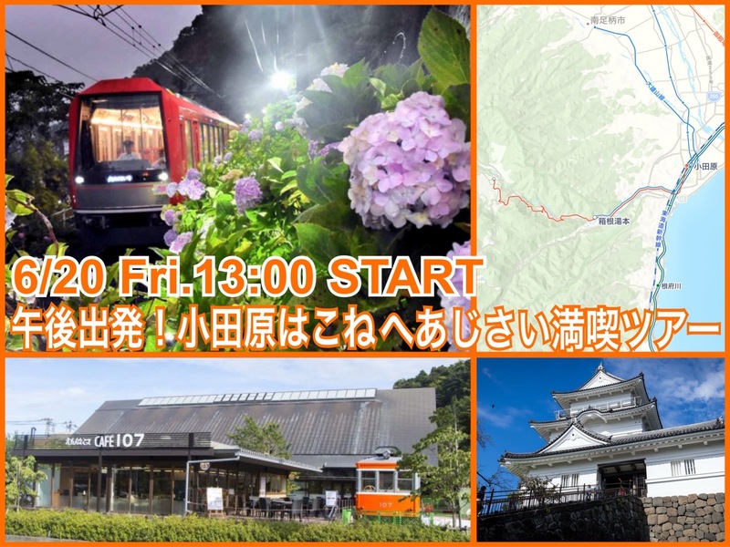 半休取って午後から参加OK★おだわらはこね紫陽花ライトアップツアー