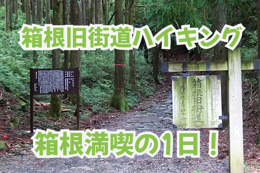【箱根旧街道ハイキング】歴史と自然を満喫する特別な一日🌿✨