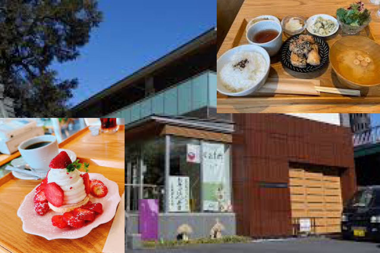 【寺カフェで朝活！】5/25 10時半 椎名町　赤門テラス なゆた 【精進料理風のヘルシーメニューあり！】