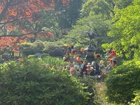 【日比谷公園】朝さんぽ と カフェトーク🚶🏻