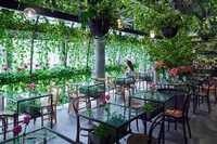 【早割中】映え抜群のフラワーカフェに行こう🍩🍩🍩