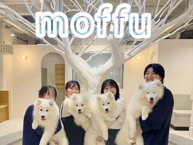 【30歳以下限定】原宿のサモエドカフェ＆ランチ