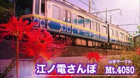 沿線に赤.白.オレンジの曼珠沙華◇江ノ島鎌倉ロングウォーキング🐾