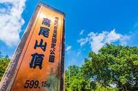 【高尾山登山×食べ歩き】自然と食べ歩きを満喫する特別な休日🌸✨