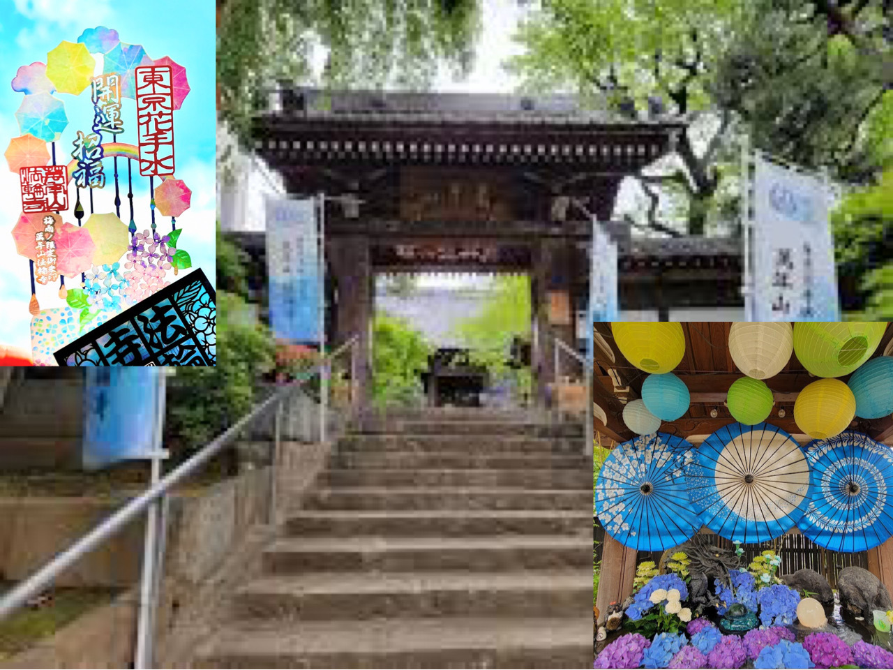 小雨決行本降り中止【早稲田のお花の寺で御朱印集め！】5/31 13時半　早稲田　法輪寺〜穴八幡宮！