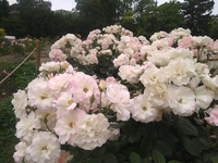 5/28 公園夜さんぽ🚶🏻✨