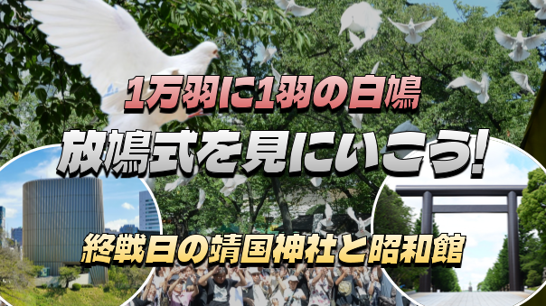 珍しい白鳩の放鳩式(ほうきゅうしき)。終戦記念日の靖国神社と昭和館(無料)にいってみよう！