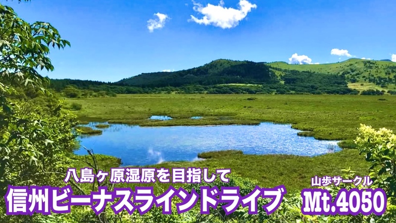 空の向こうへずっと続く道◇信州ビーナスライン清涼ドライブ🚗