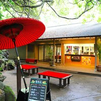 🌿＼大都会の中のオアシスへ✨／ 📍等々力渓谷×甘味処「雪月花」で美味しいかき氷を食べよう🍧