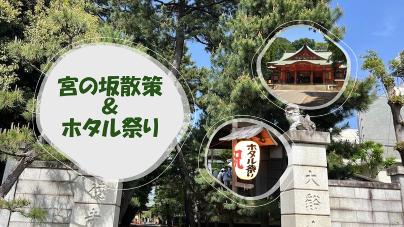 ☆歴史を感じる宮の坂周辺散策～せたがやホタル祭りとサギ草市☆