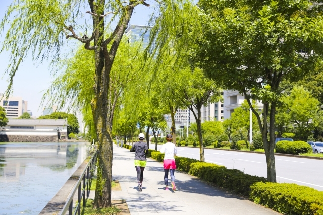 【国際交流🗺】外国人と交流しながら皇居の周りをウォーキングしよう！