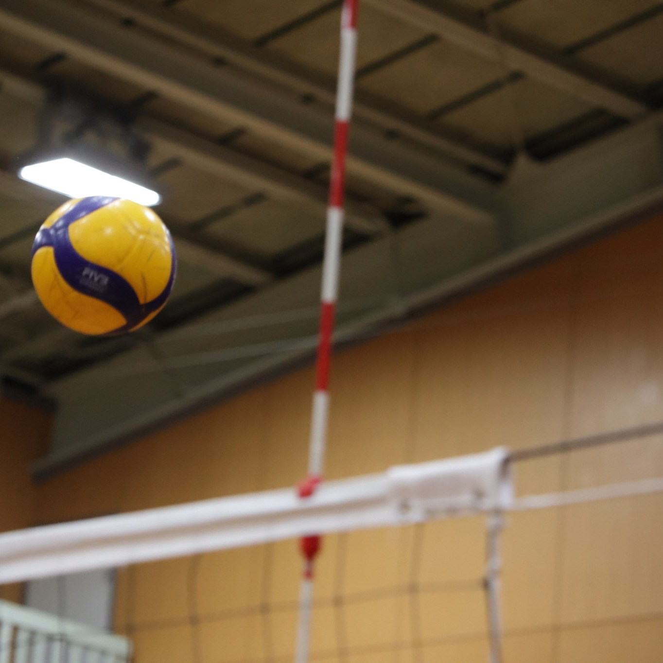 【20代！大募集🏐】わいわいバレーボール！✨