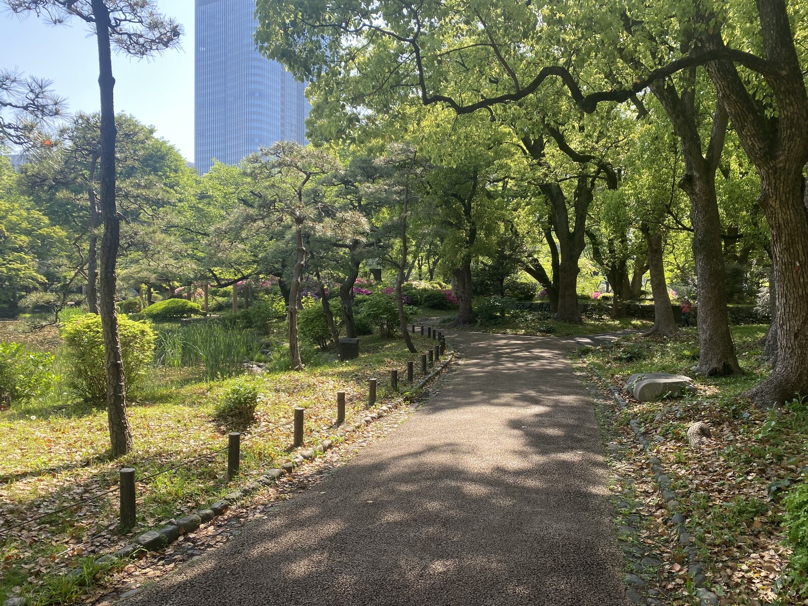 🚶🏻【日比谷公園】朝さんぽ と カフェトーク