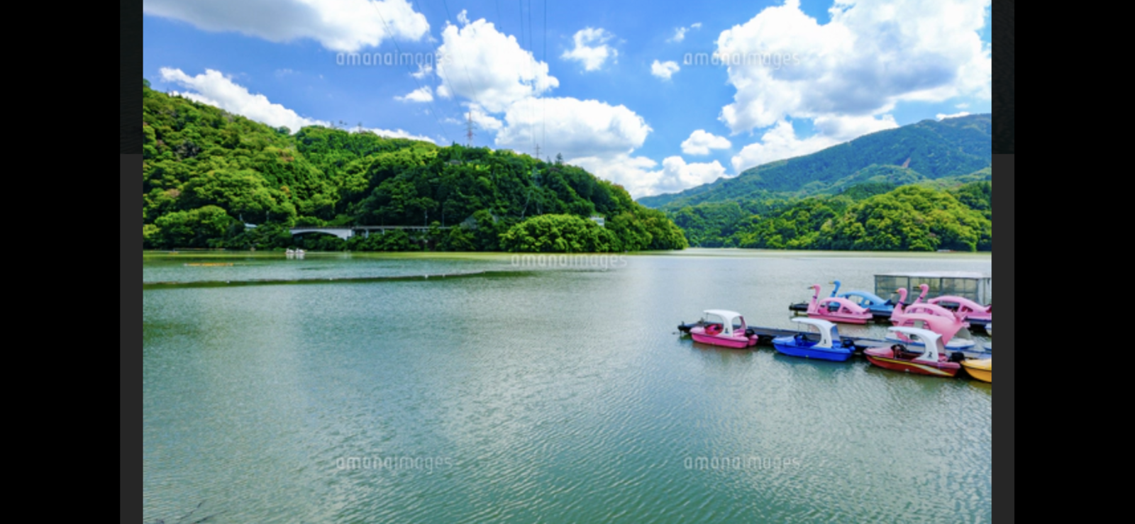 神奈川県・相模湖を満喫！自然散策＆相模ダム見学🌿初心者・ひとり参加歓迎