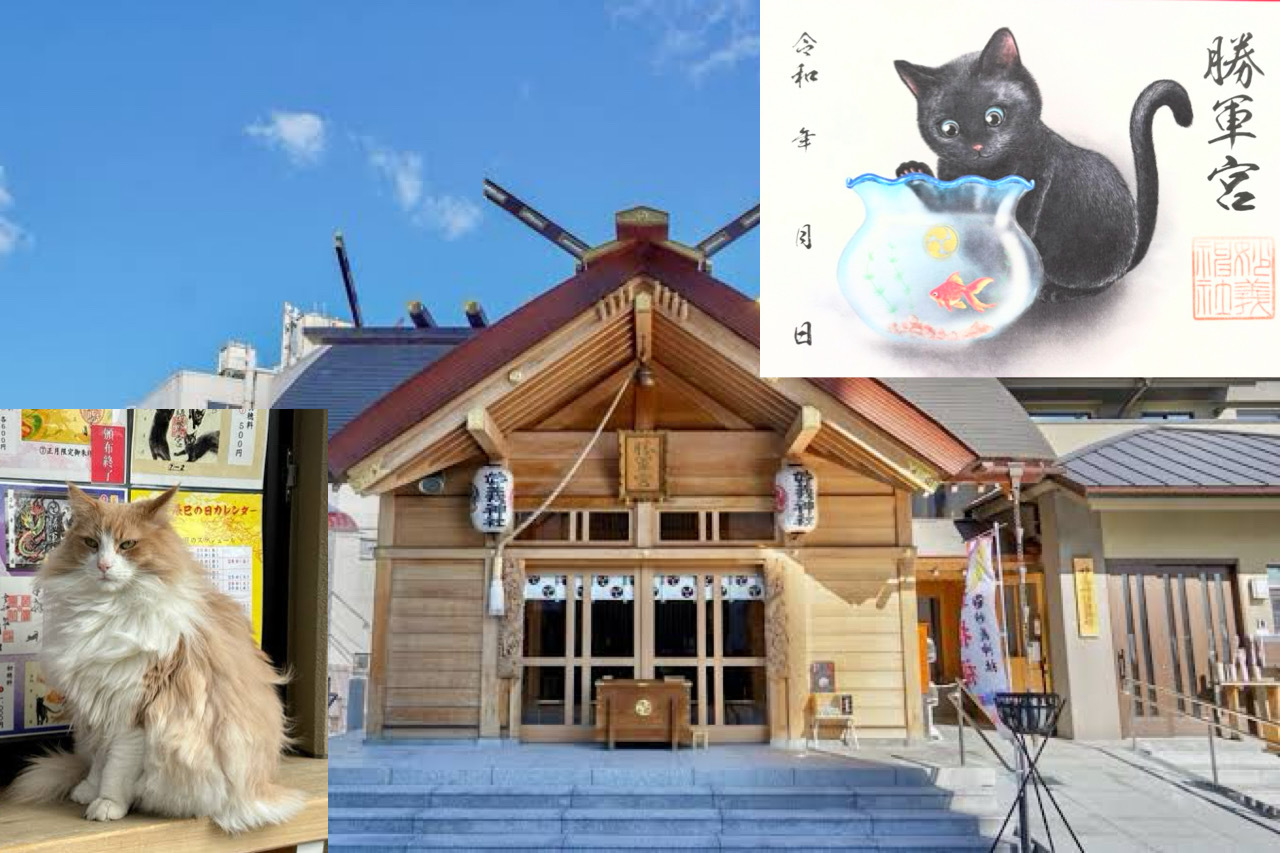 男女比調整で女性のみ募集【見開き猫御朱印を手に入れよう！】6/8 13時半　駒込　妙義神社