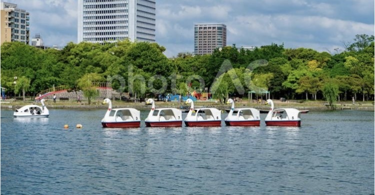 大濠公園🚶のんびり散歩〜ゆるりと