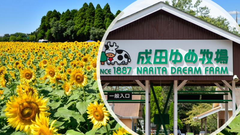 牧場の解放感を感じながら手ぶらで黒毛和牛のバーベキューと遊戯を満喫しよう♪