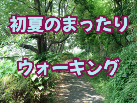 【歴史と自然に触れるウォーキング】多摩・よこやまの道！運動初心者歓迎🌳