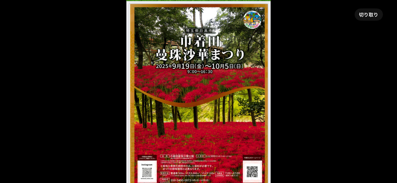 🎫🚃西武特急で行く埼玉旅行🚃🌸巾着田イベント