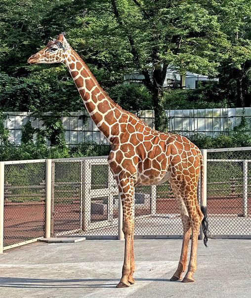 三河観光‼️動物たちに癒されるひとときを