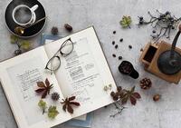 【6/8【日】みなとみらい📚】本楽しみながら語る！カフェで横浜読書会開催✨