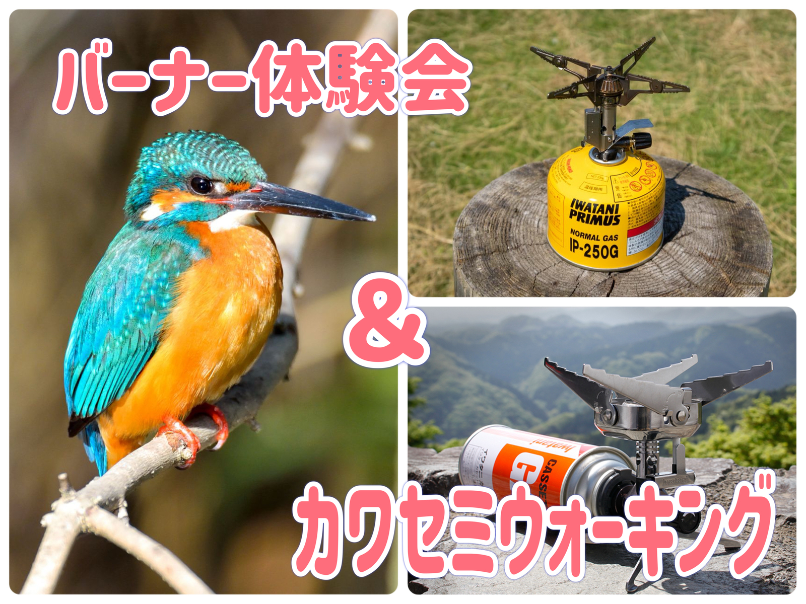 6/22 ◎バーナー体験会＆カワセミウォーキング