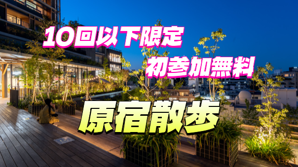 【10回以下限定】夜の原宿・表参道をぶらぶらしてみよう❗️