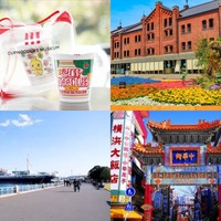 横浜散策(横浜中華街→山下公園→赤レンガ倉庫→カップヌードルミュージアム)　！(神奈川県)(副代表・補佐企画)