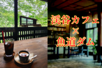 🌿清夏のウォーキング・トレイル🏞️　渓谷カフェと魚道ダムに癒されよう!