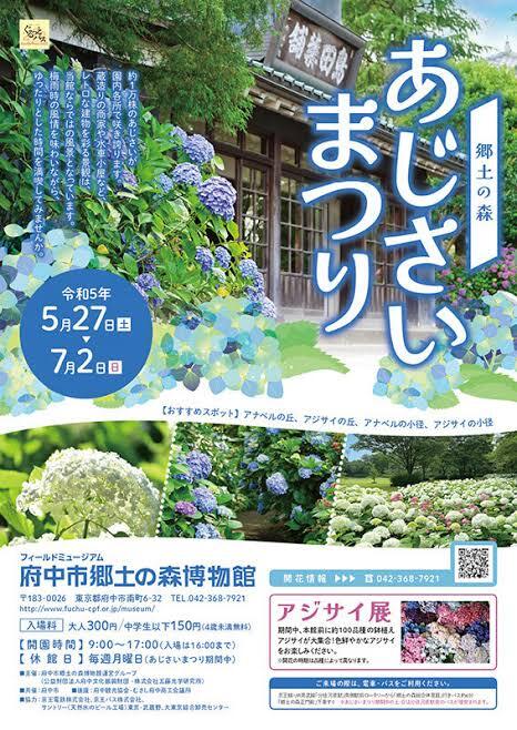 府中郷土の森・初夏彩るあじさい祭り🎶和の伝統を感じる1日＆流鏑馬！