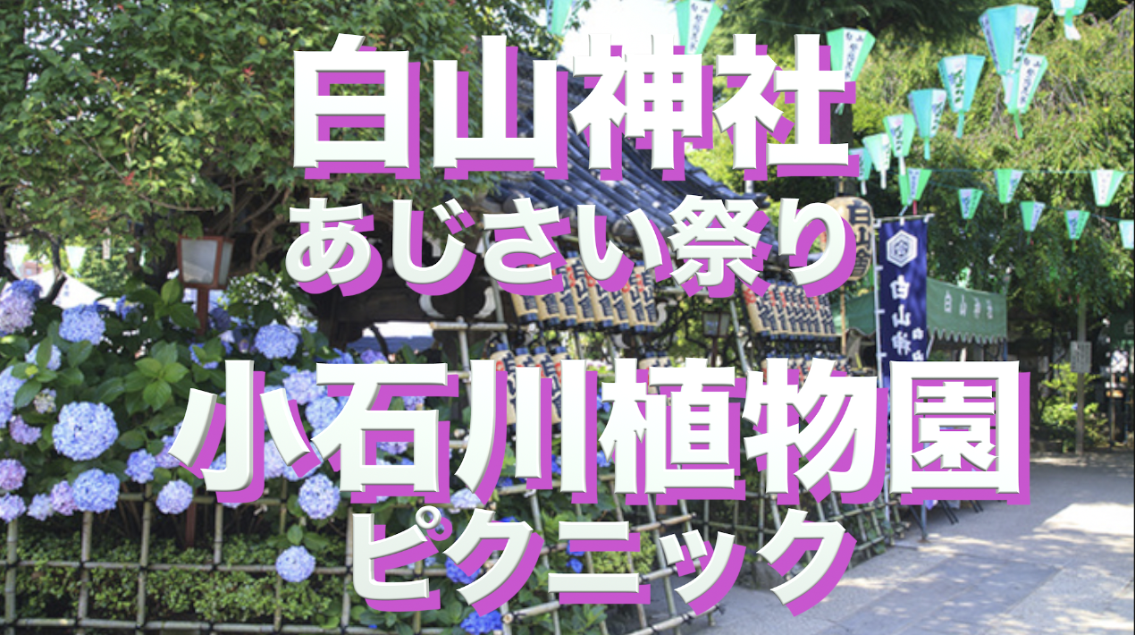6/7（土）白山神社あじさい祭り＋小石川植物園ピクニック