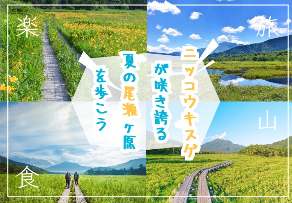 ニッコウキスゲが咲き誇る尾瀬ヶ原でハイキングを楽しもう
