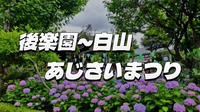 【先着2名無料】後楽園～白山ナイトウォーク！白山神社とあじさい鑑賞を楽しもう！