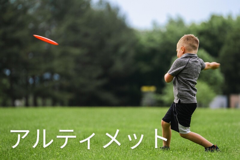 【アルティメット】エンジョイしよう♪