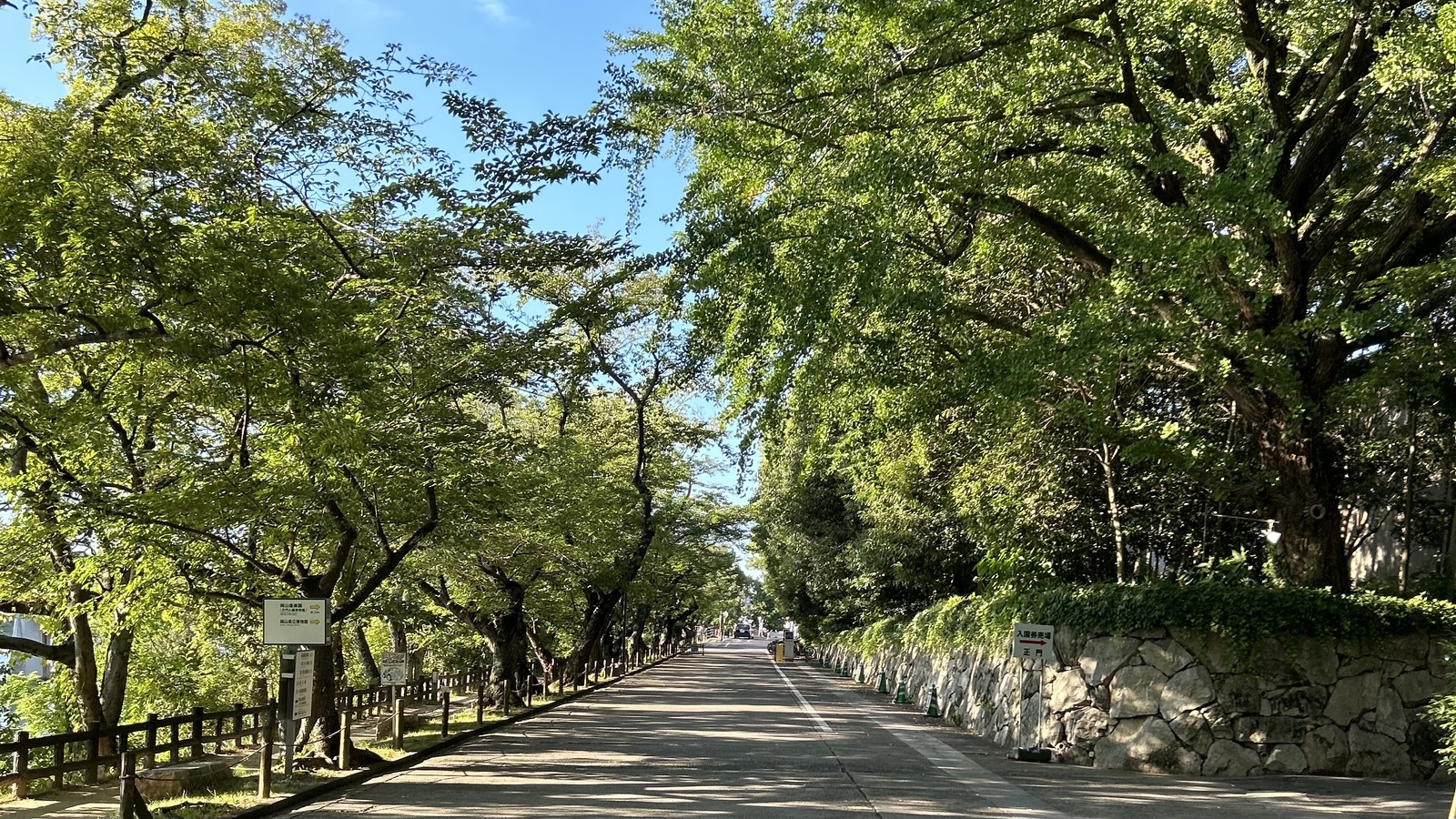 6/14（土）🌳夜さんぽ☕️🚶