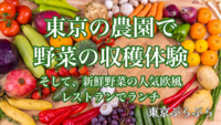 ＼ Let’s 体験！／東京の農園で野菜の収穫体験＆🇮🇹新鮮野菜の人気欧風レストランでランチ🇫🇷