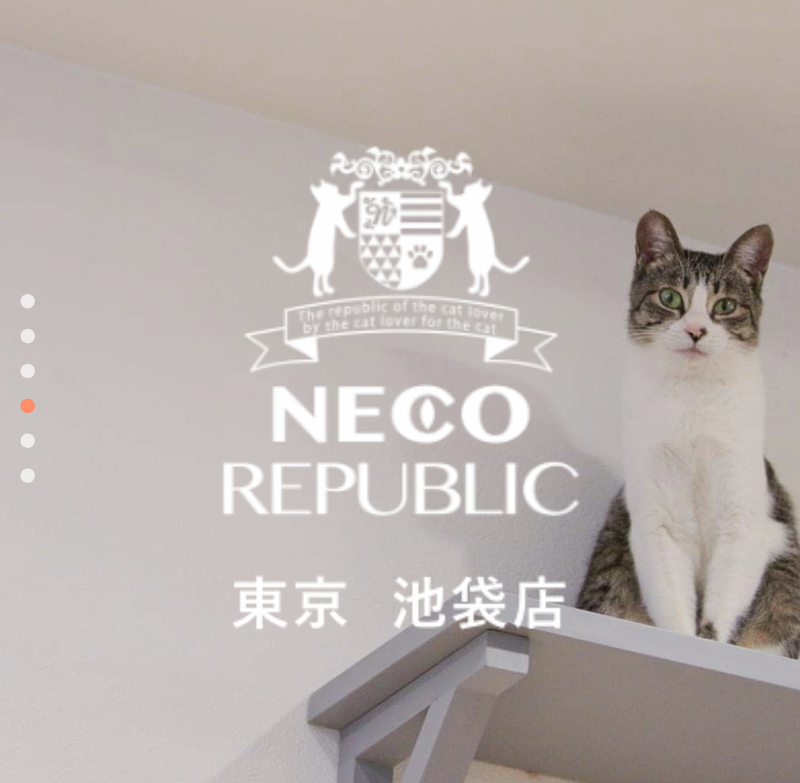 女性主催【6/22(日)】猫カフェに行こう！！！